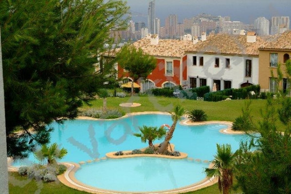 ��������� ������ �� ������� ������������ � ���������