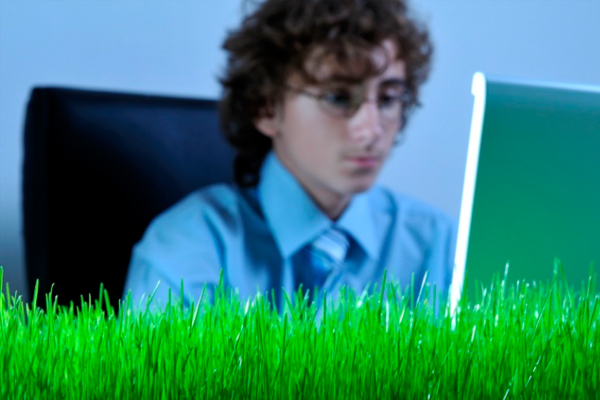 ���-���� ������ ������