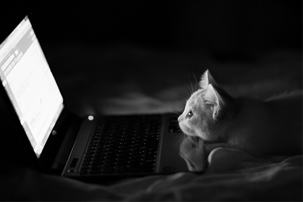 �������� ����� ������ � ������� ��������� web-������ INNOV