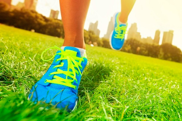 �������������