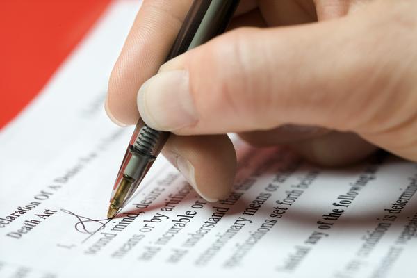 � ���� ������ �������� �������