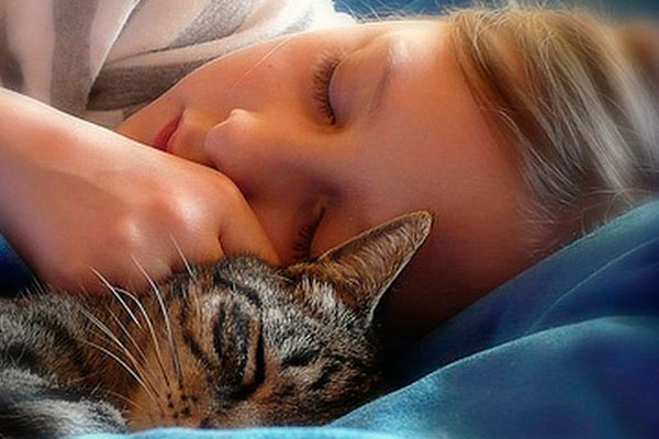 ��� ��������� ���