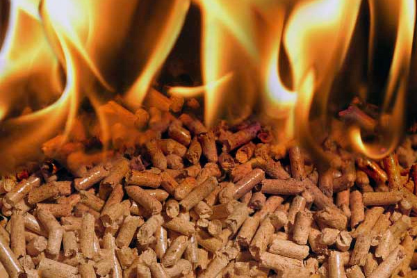 ����� ������ ����� ��������� �����