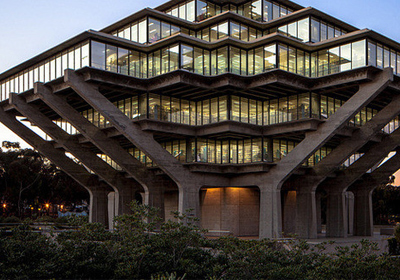 �����������: ���� � �����